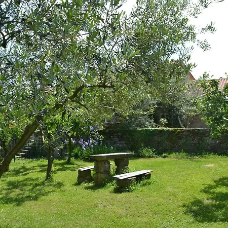 Apartments Villa San Vito Grožnjan Buitenkant foto